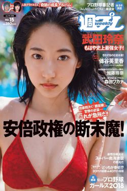 山河恋之美人无泪